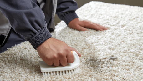 Professional Rug Cleaning Gembrook